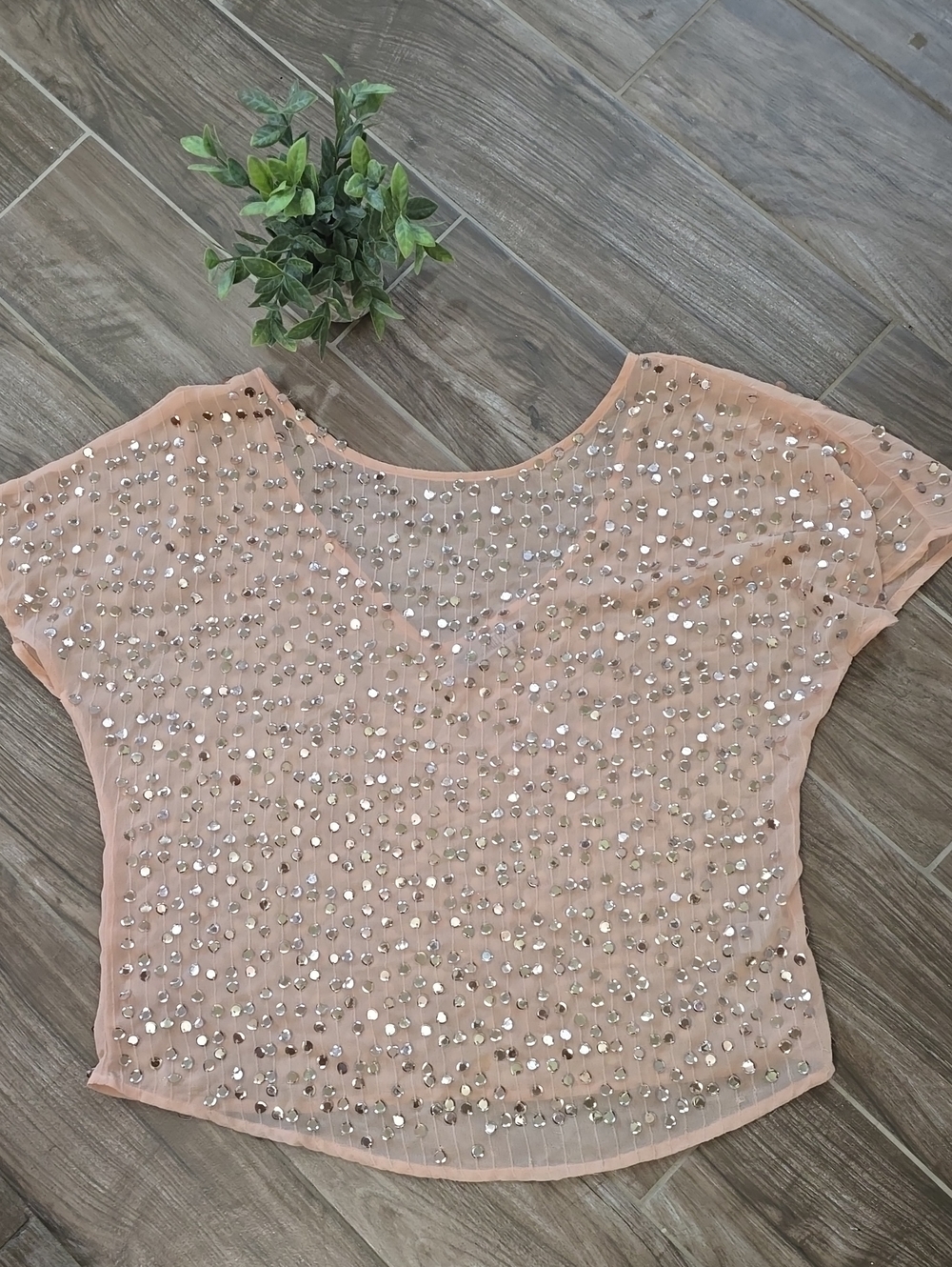 Jennifer Lopez Blush Sequin Mesh Short Sleeve Top